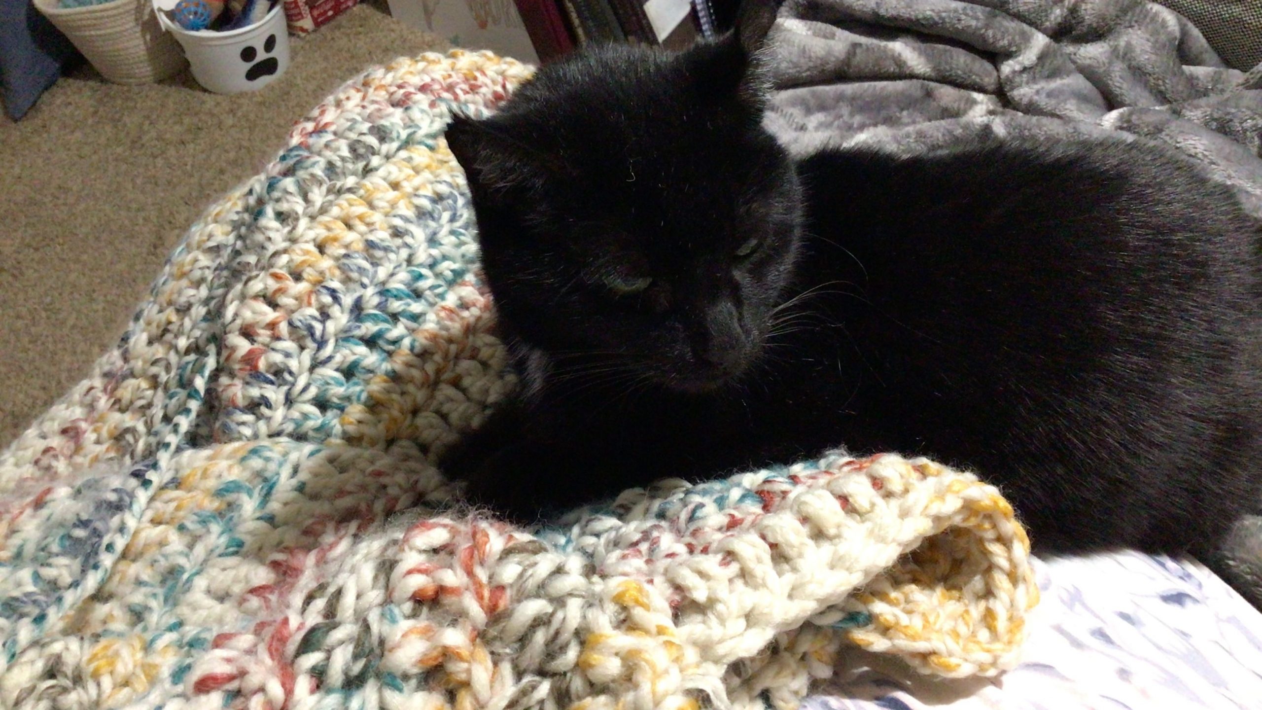 A black cat sitting primly on top of a crochet afghan